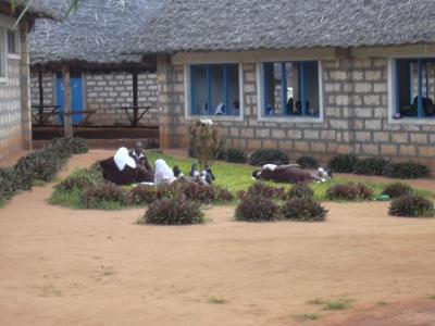 2756d21561b8e73f1c4a635e83094265